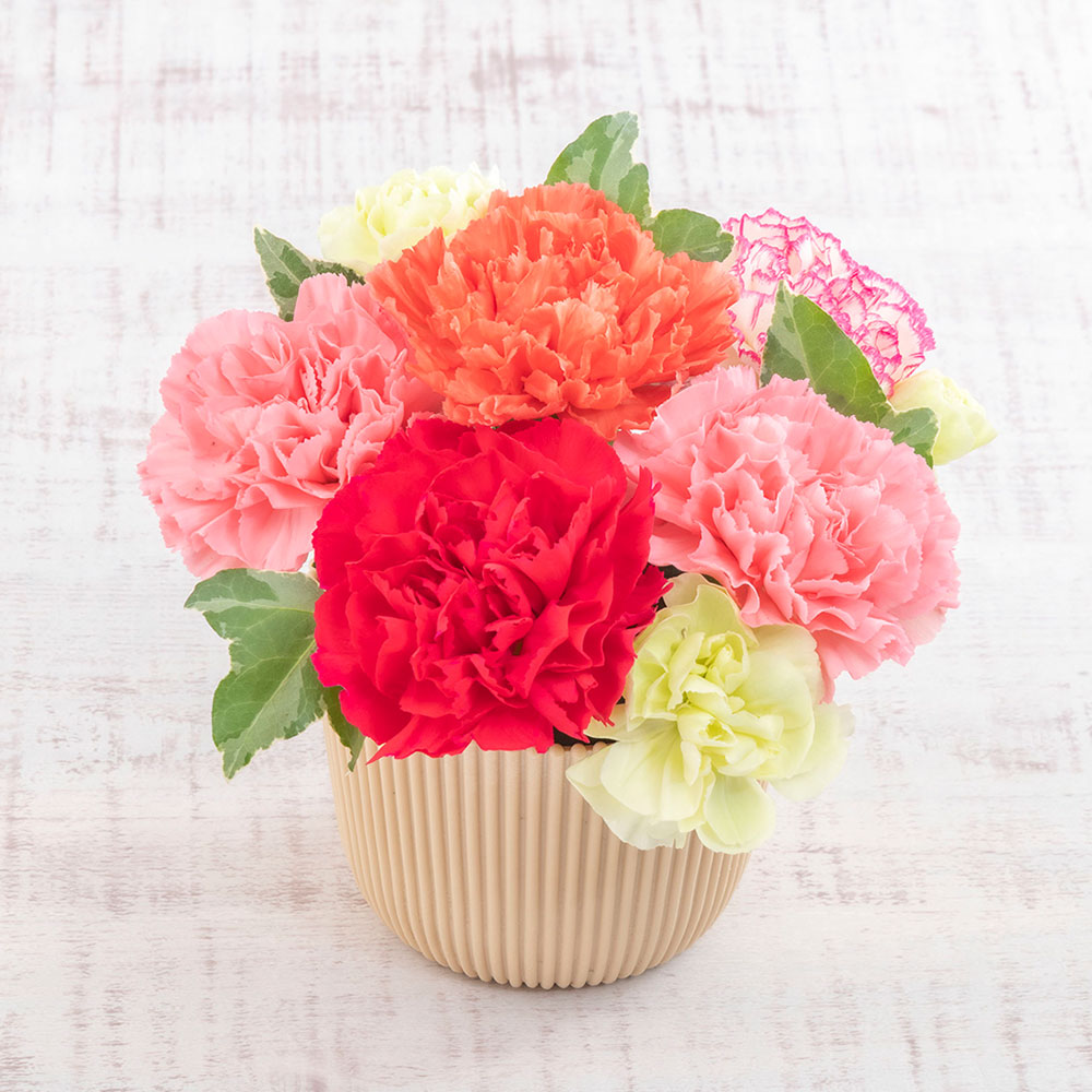 母の日 源吉兆庵「花桜桃6個入」とアレンジメントのセット