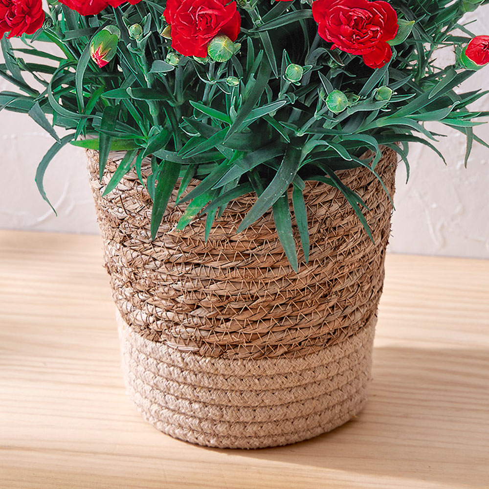 母の日 カーネーション（レッド）5号