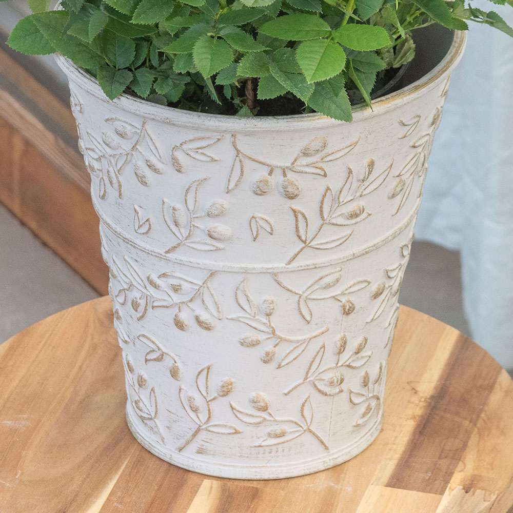 母の日 大西 隆コレクション ミニバラ「エミー」