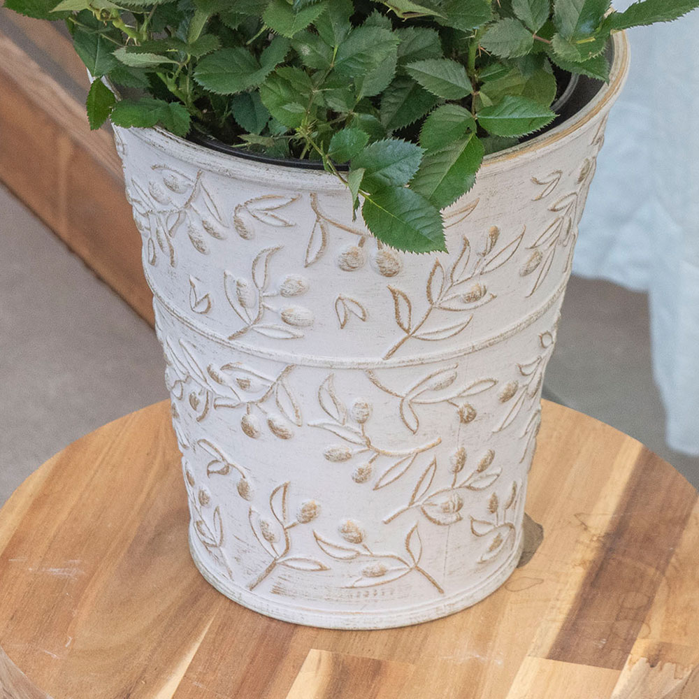 母の日 大西 隆コレクション ミニバラ「カメルーン」