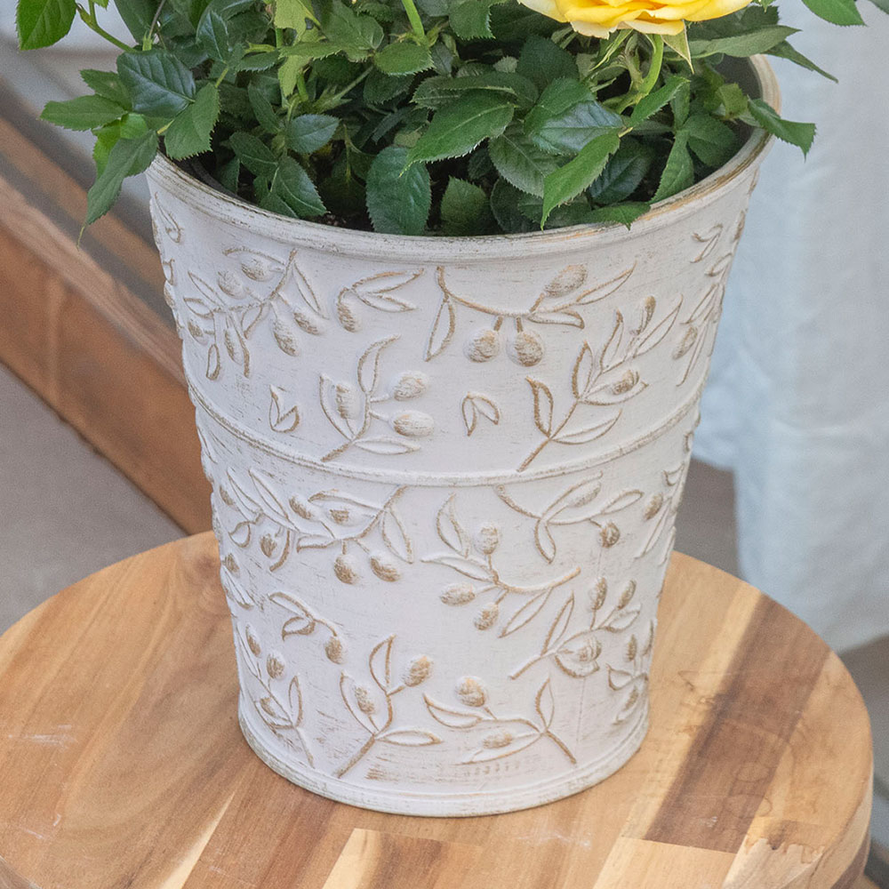 母の日 大西 隆コレクション ミニバラ「サニービーチ」