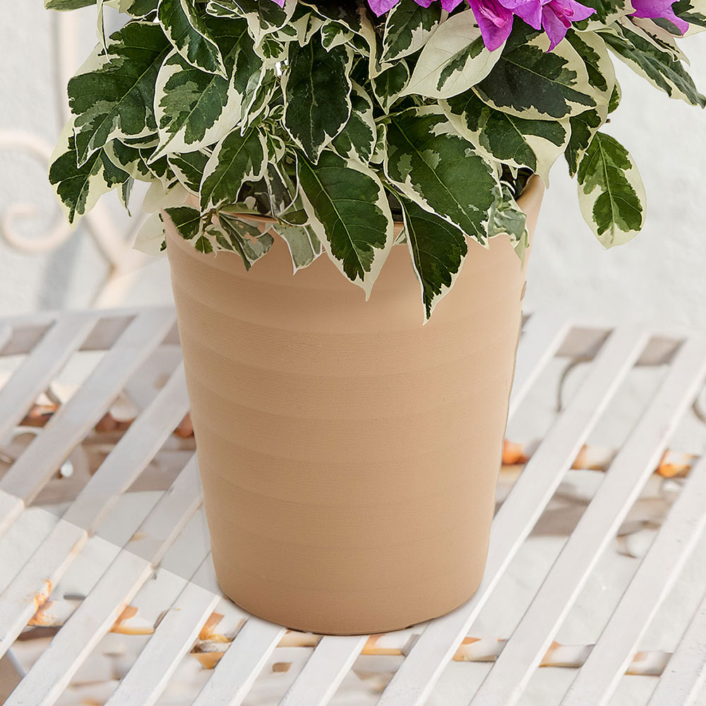 母の日 ブーゲンビリア「ブルーハワイ」