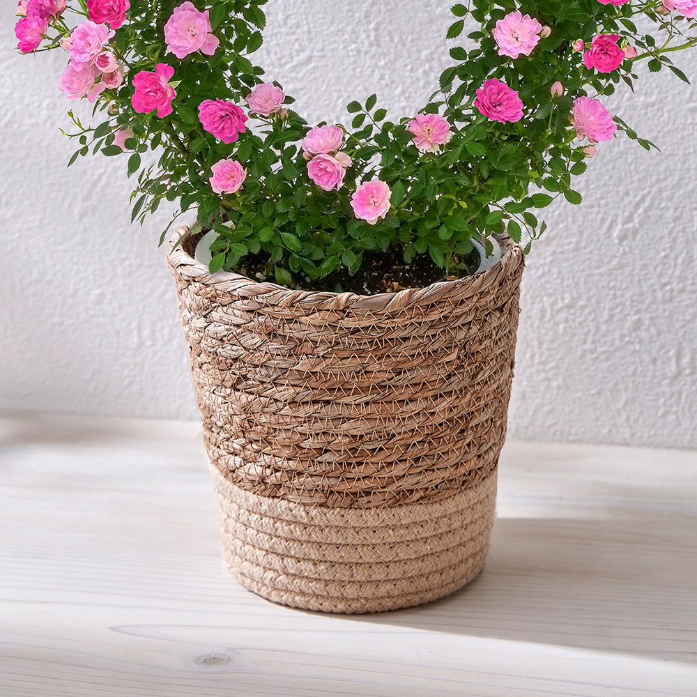 母の日 つるバラ（ピンク2色）リング仕立