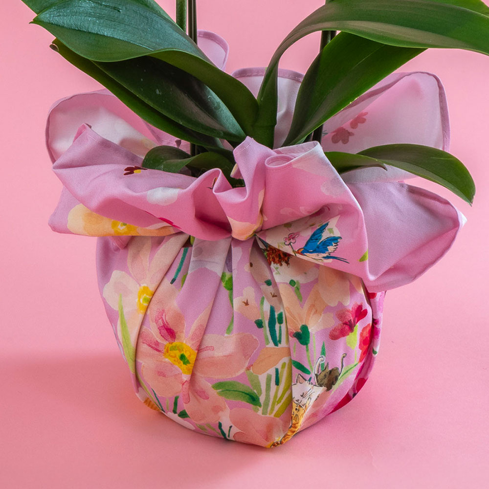 母の日 NozomiYuasa×ミディ胡蝶蘭 風呂敷ラッピング