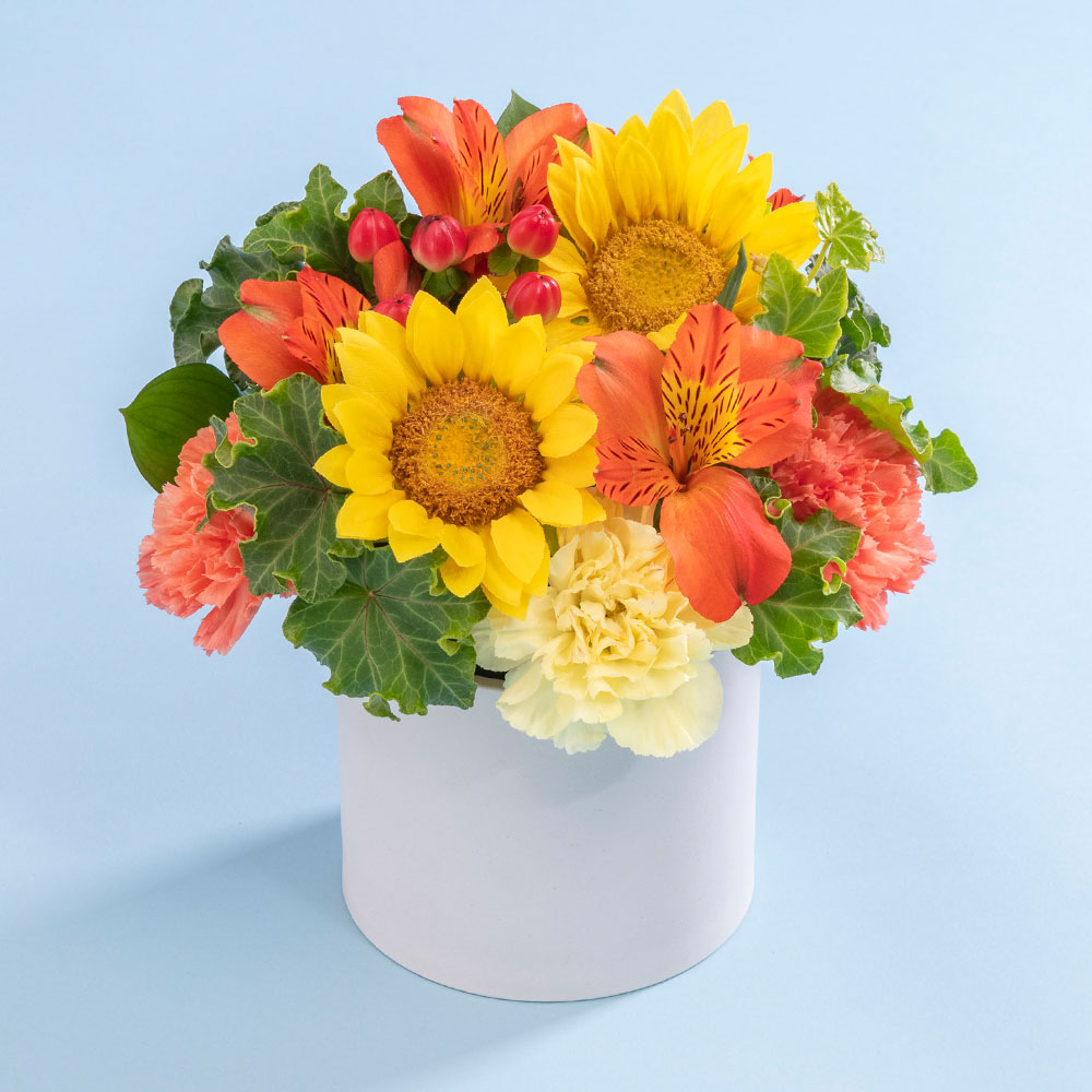 父の日 アレンジメント「サンクスファーザー」