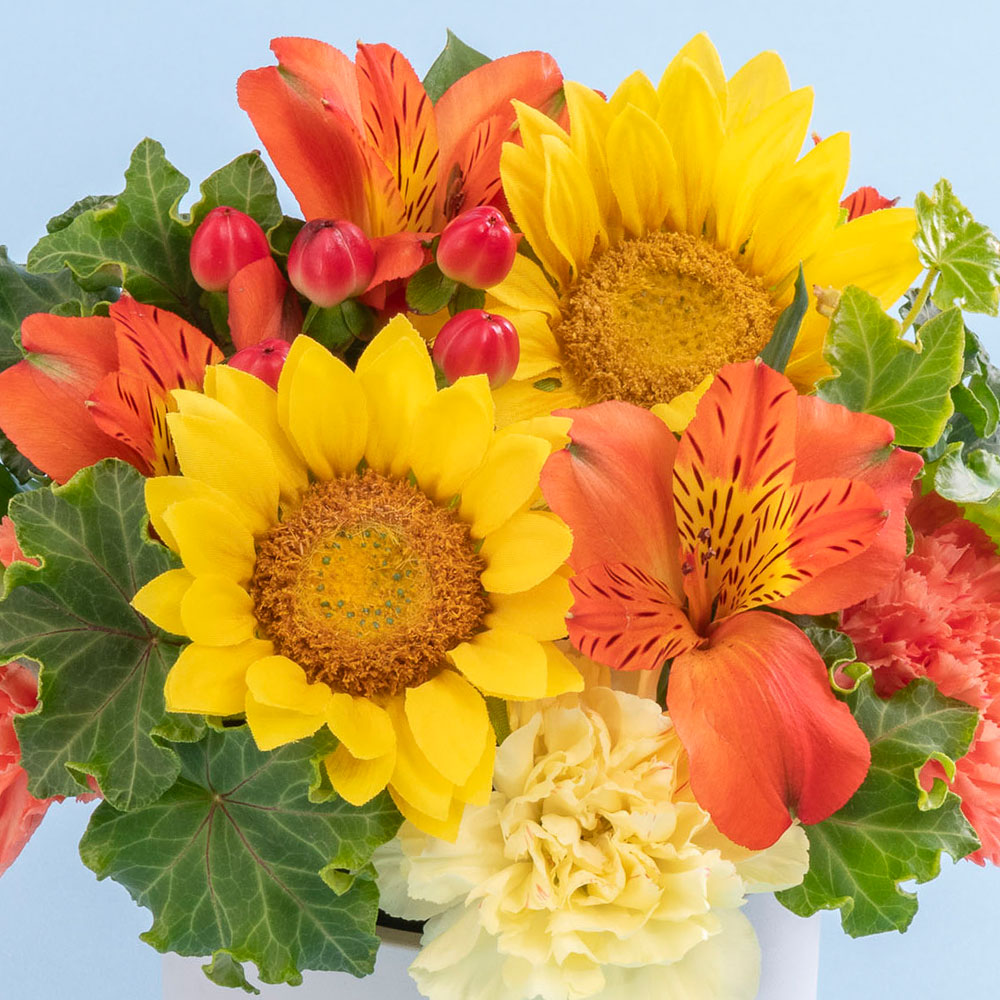 父の日 アレンジメント「サンクスファーザー」