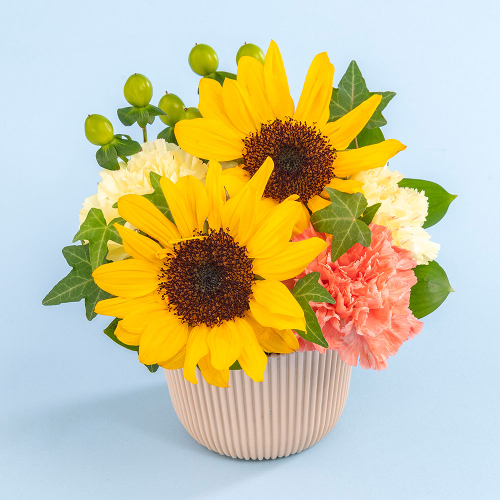 父の日 DUNLOP「折りたたみ傘 」とアレンジメントのセット