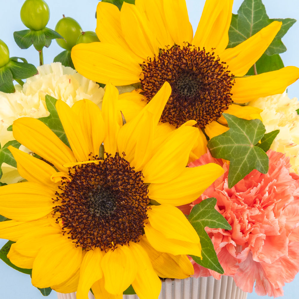 父の日 DUNLOP「折りたたみ傘 」とアレンジメントのセット