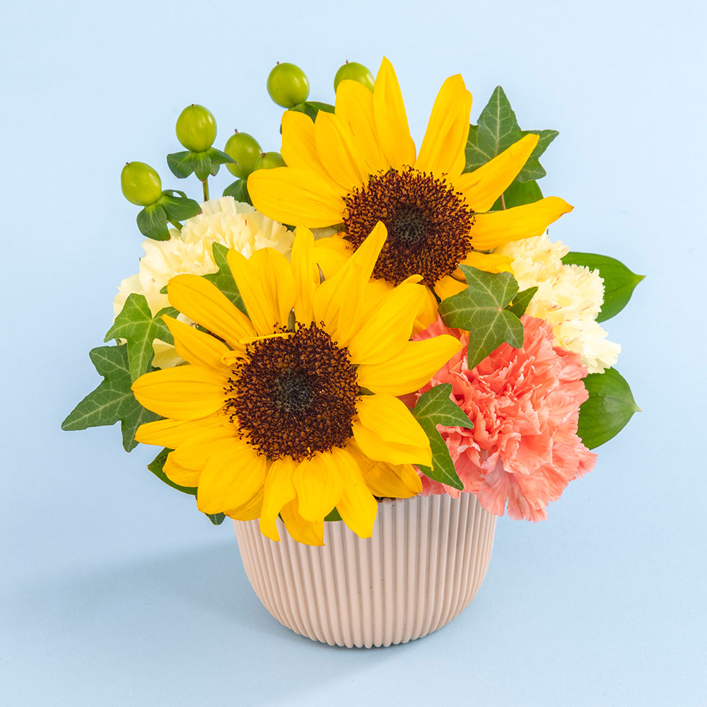 父の日 とらや「羊羹・あんペースト詰合せ」とアレンジメントのセット