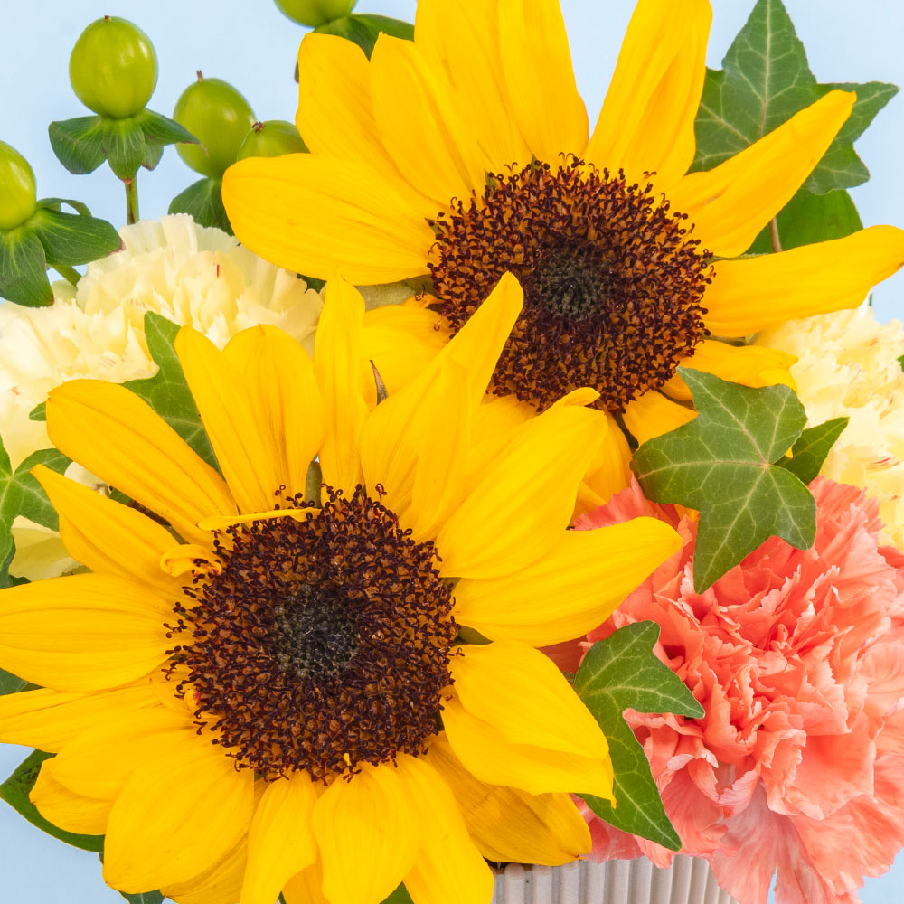 父の日 とらや「羊羹・あんペースト詰合せ」とアレンジメントのセット