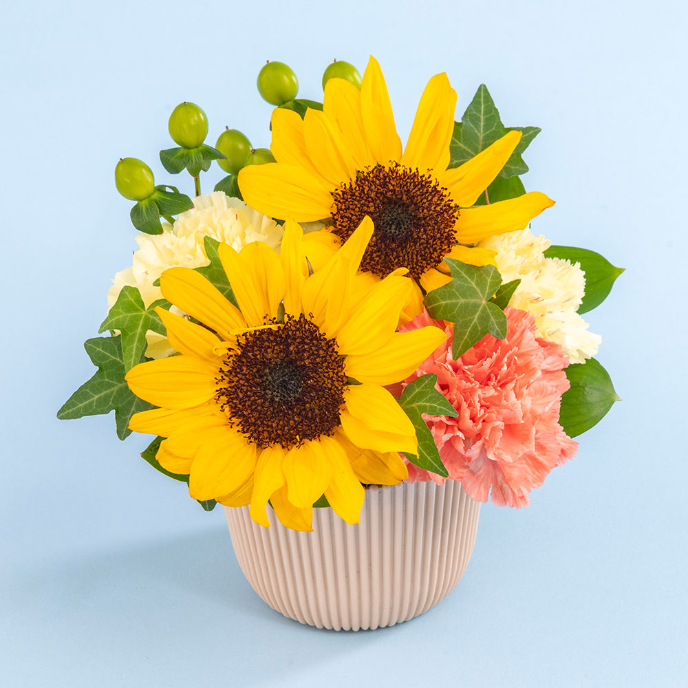 父の日 とらや「最中」とアレンジメントのセット