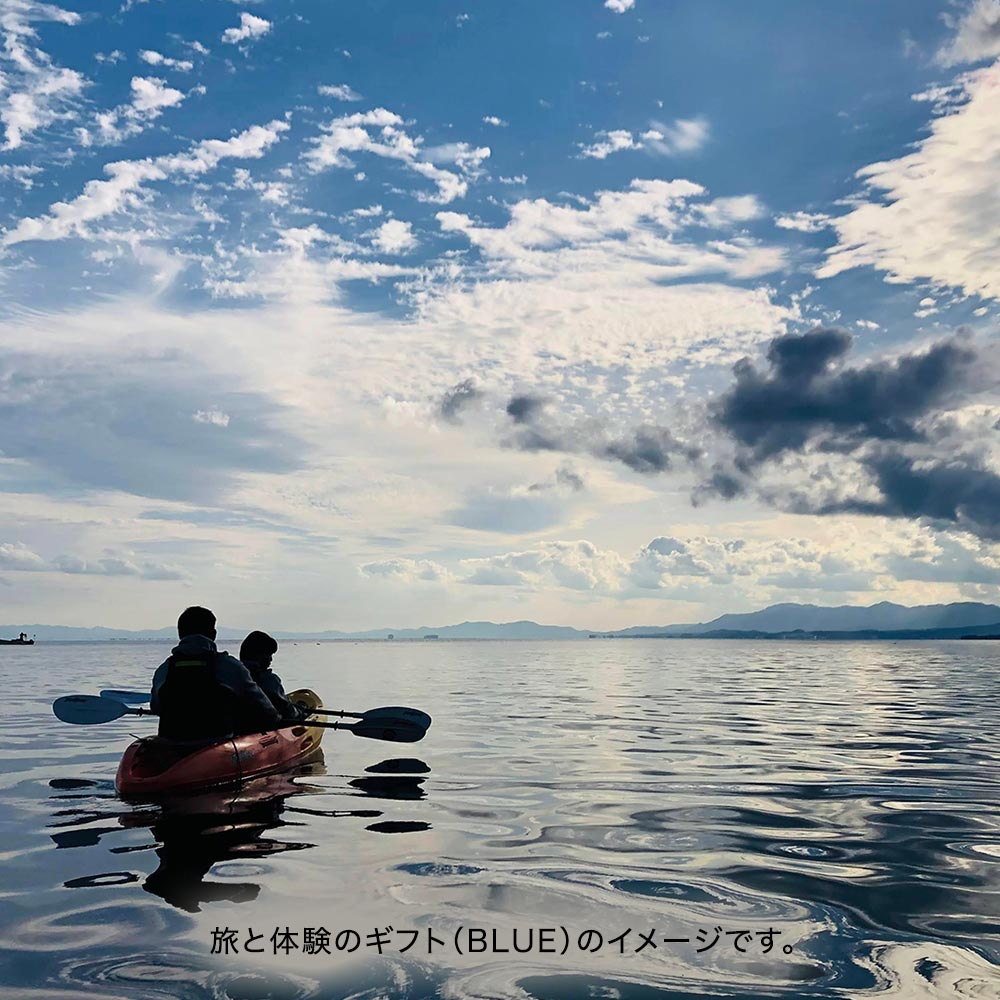 父の日 ソウ・エクスペリエンス「旅と体験のギフト（BLUE）」とそのまま飾れるブーケのセット