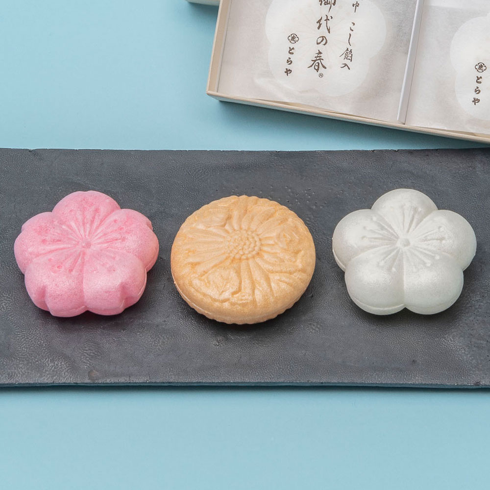 父の日 とらや「最中」と観葉植物「ガジュマル」のセット