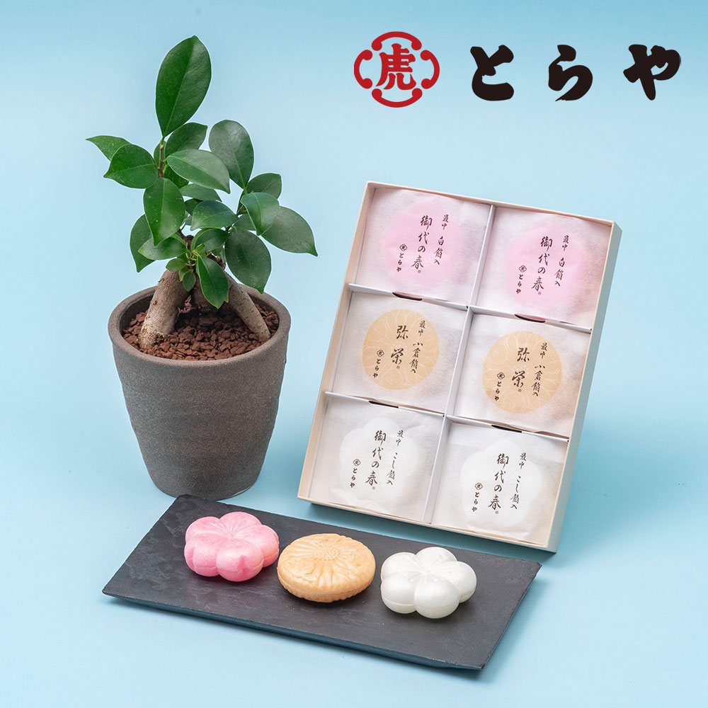 【父の日まだ間に合う！】父の日 とらや「最中」と観葉植物「ガジュマル」のセット