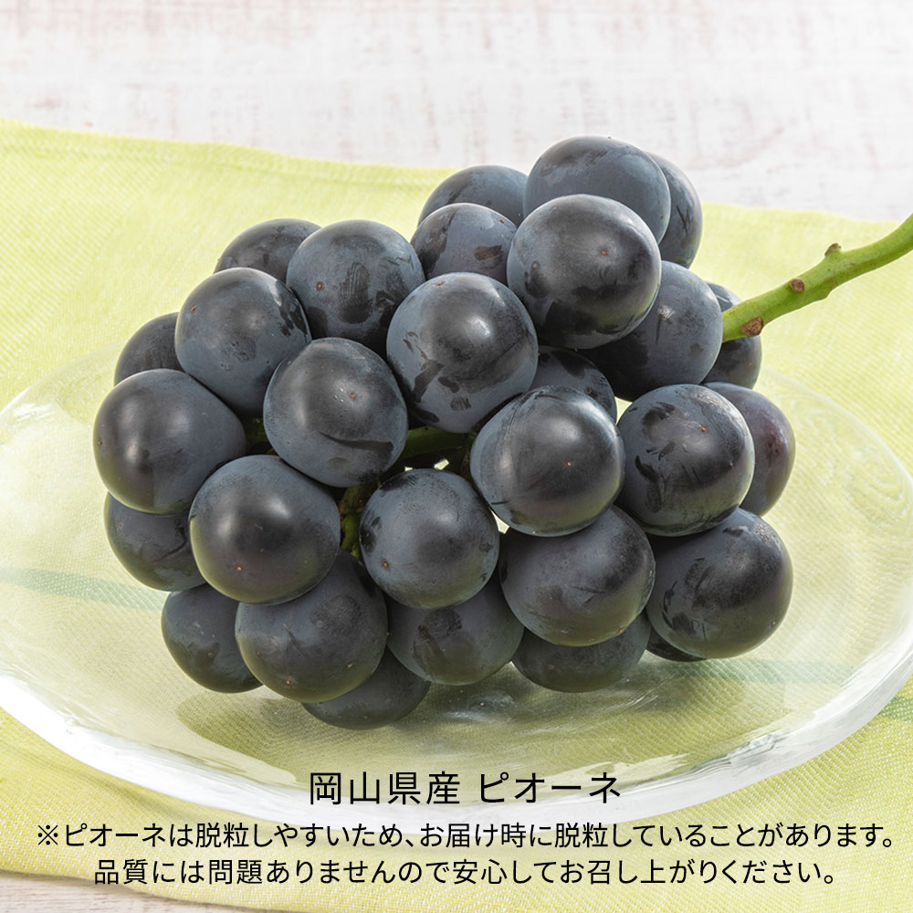 【敬老の日まだ間に合う！】 敬老の日 「ピオーネ」とアレンジメントのセット