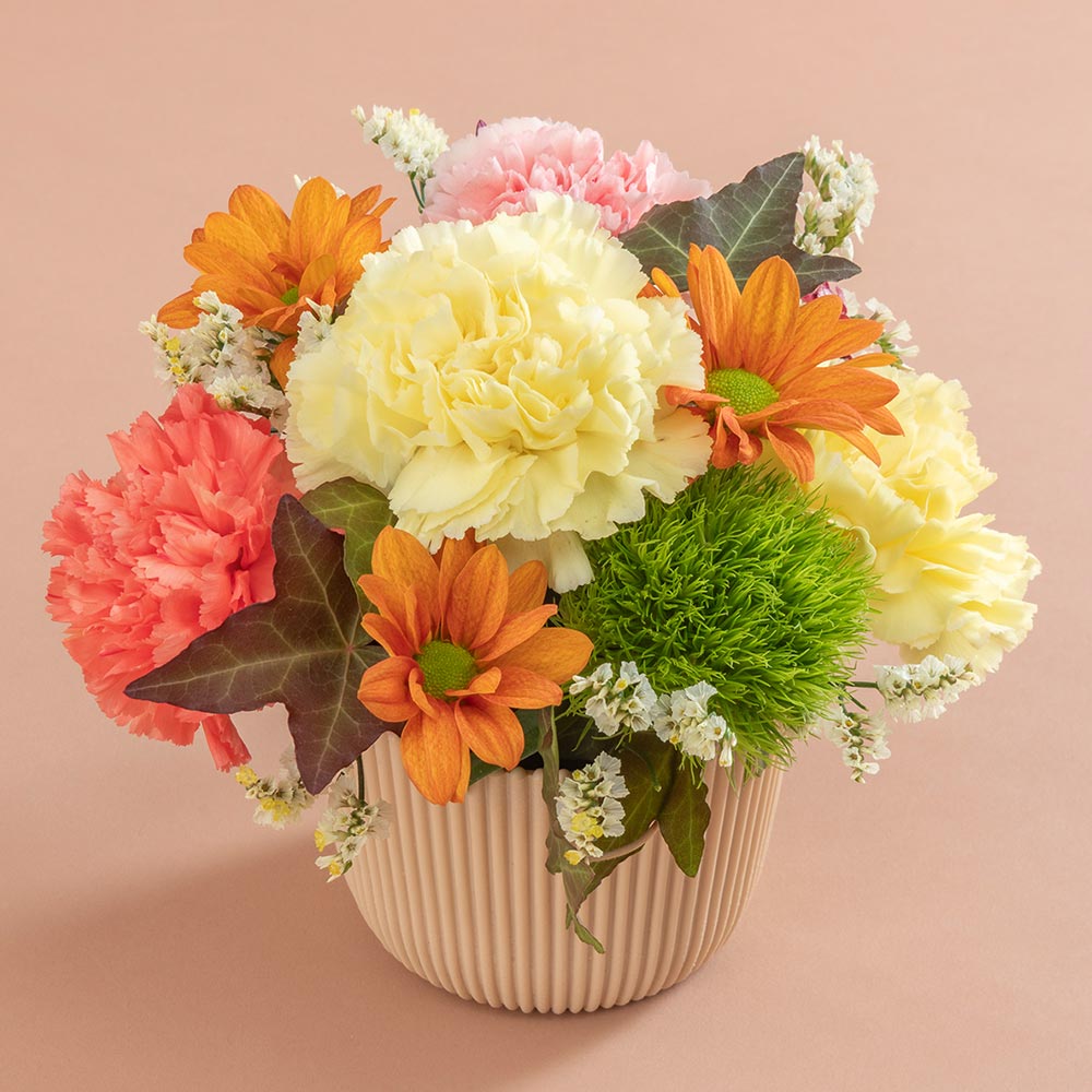 【敬老の日まだ間に合う！】 敬老の日 幸田商店「干し芋ギフト」とアレンジメントのセット