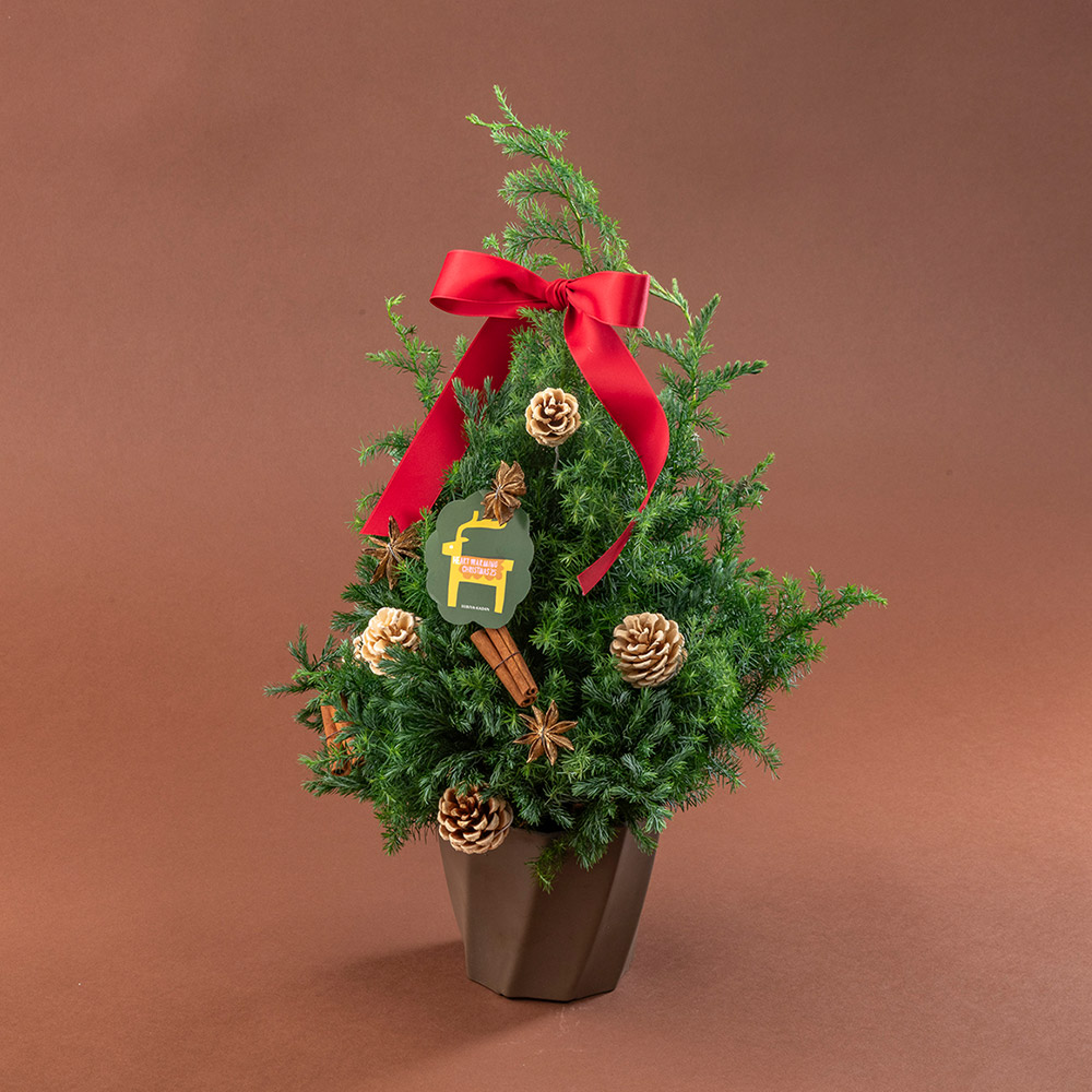 クリスマス フレッシュツリー「ノエル」