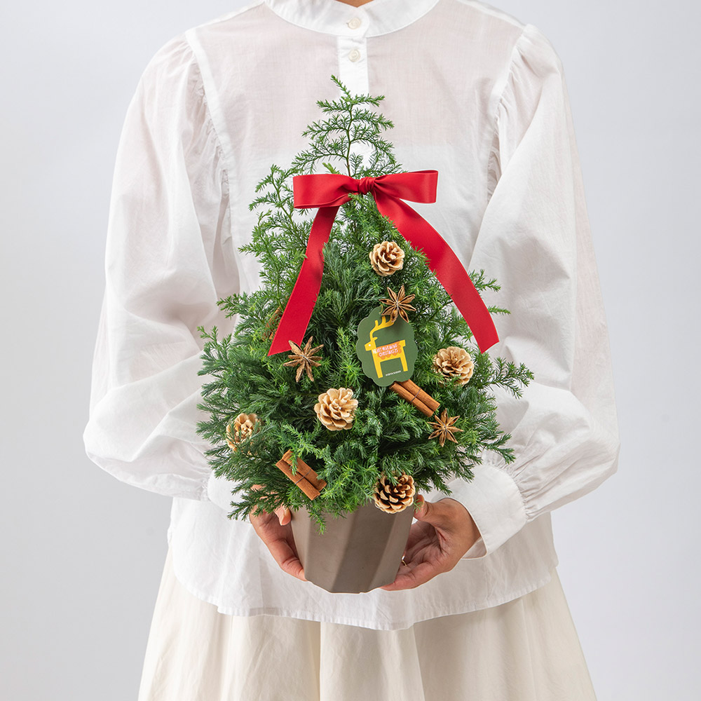 クリスマス フレッシュツリー「ノエル」