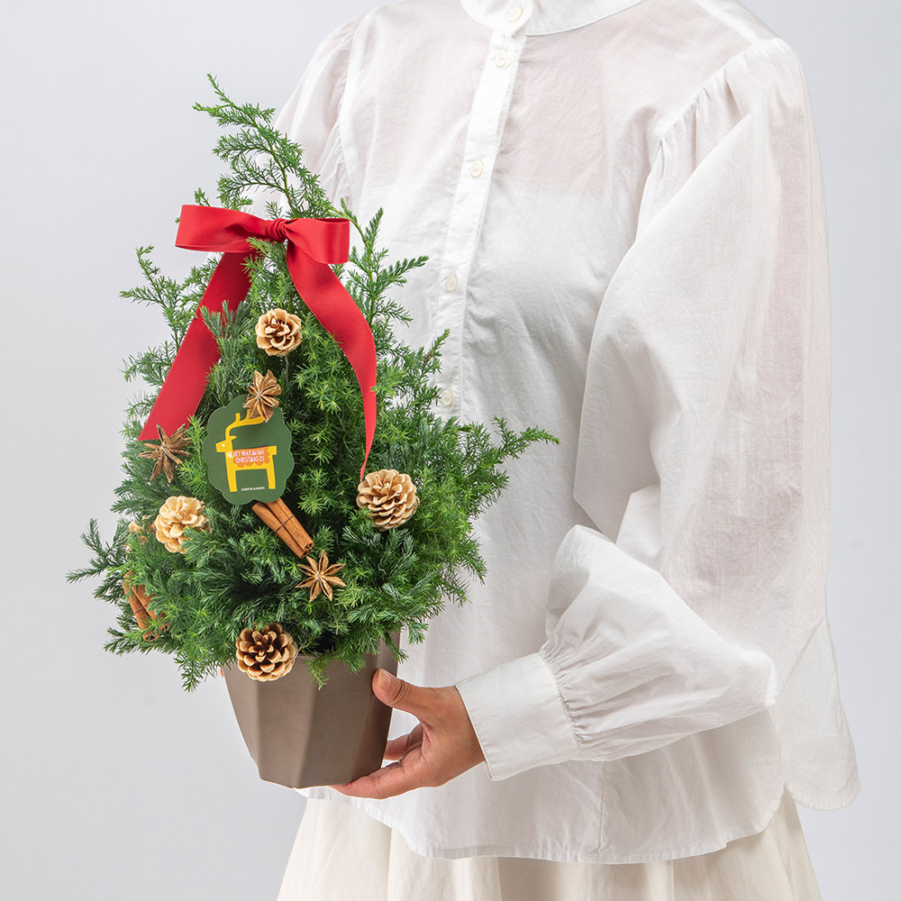 クリスマス フレッシュツリー「ノエル」