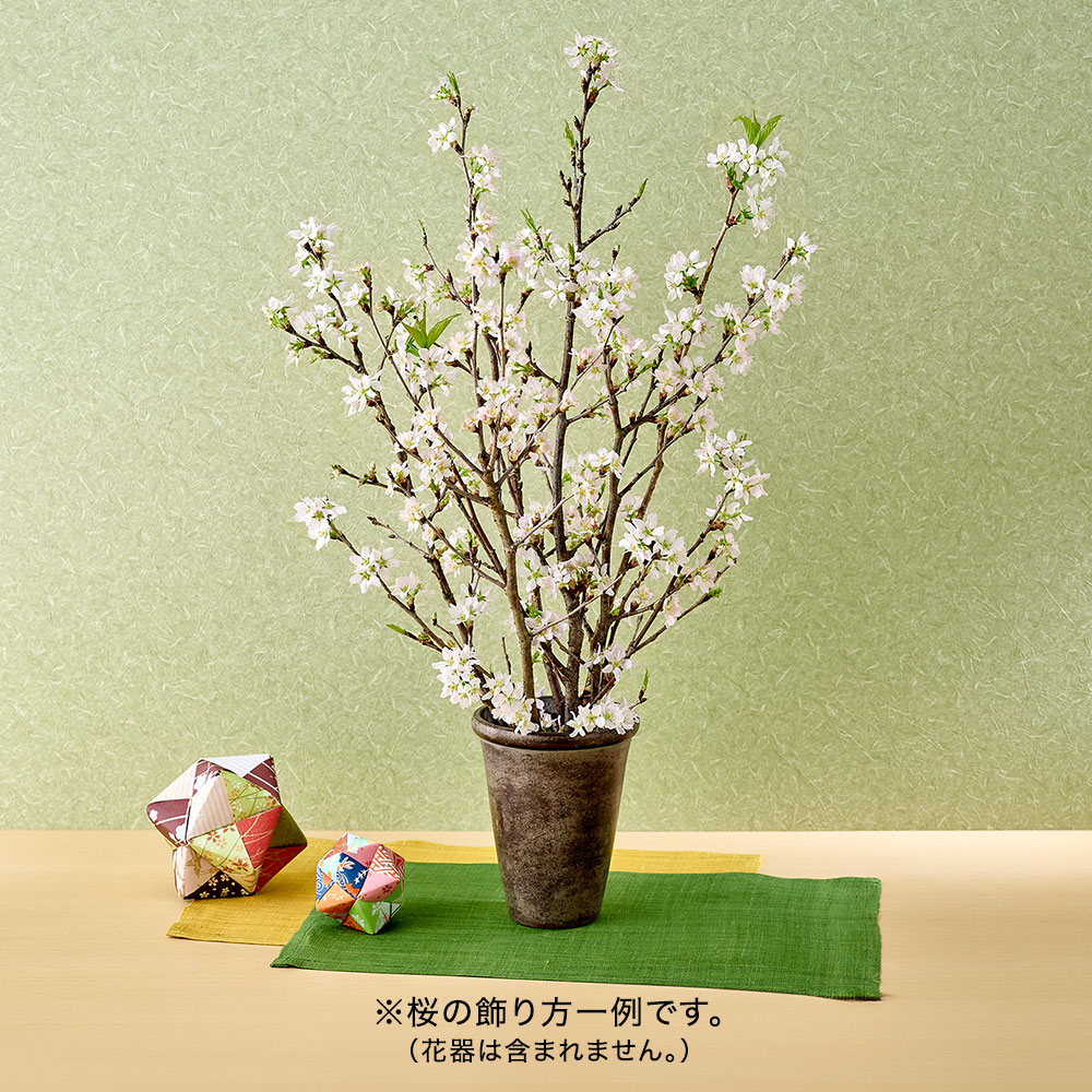 お正月 ボックスフラワー「啓翁桜」
