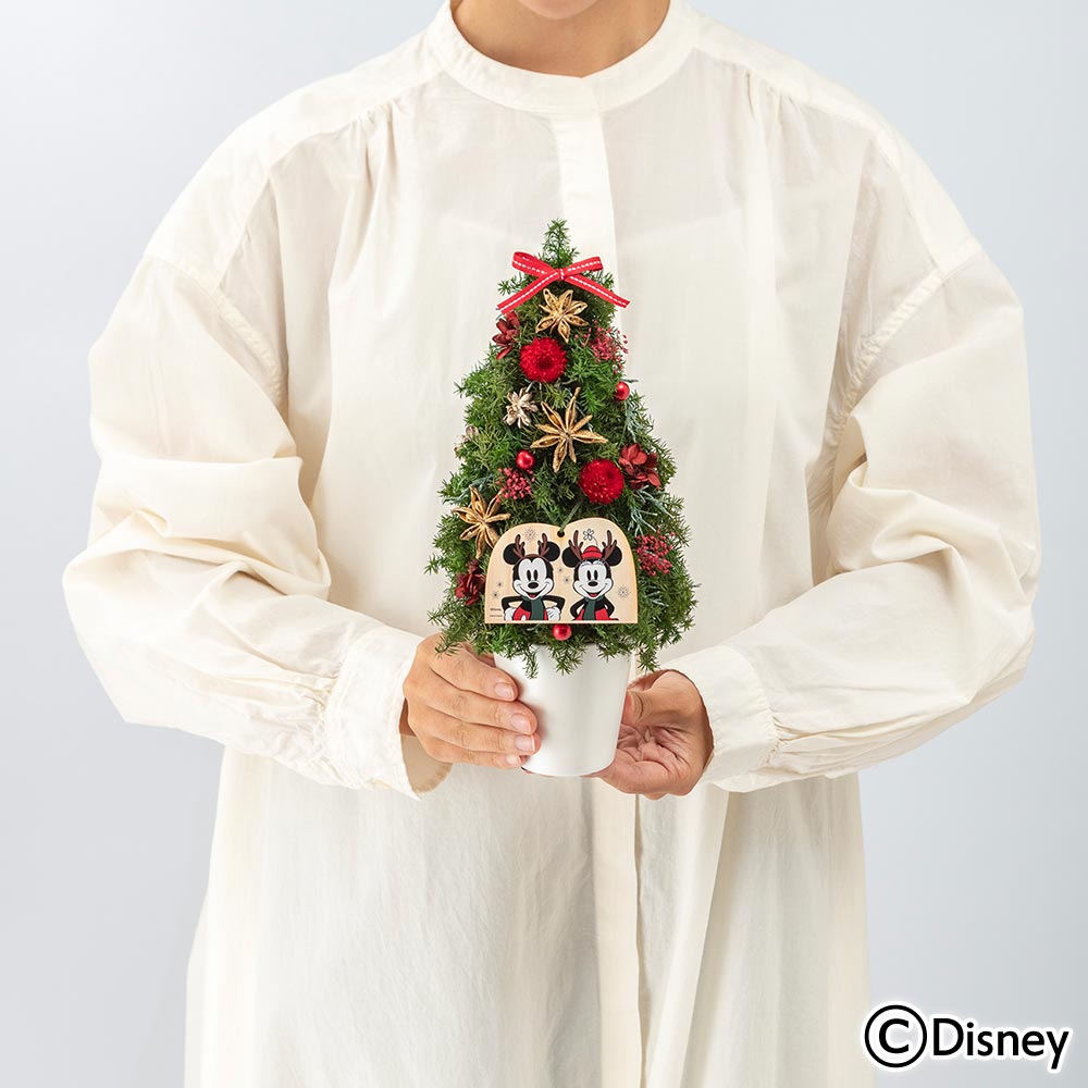 クリスマス ディズニー プリザーブド＆ドライフラワーアレンジメント「ハッピーホリデー（ミッキーマウス＆ミニーマウス）」