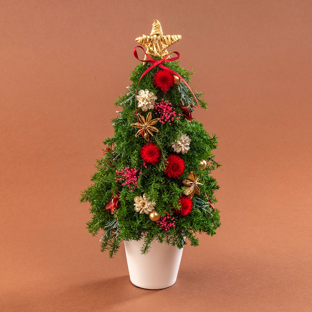 クリスマス プリザーブド＆ドライフラワーツリー「アルブル ド ノエル」