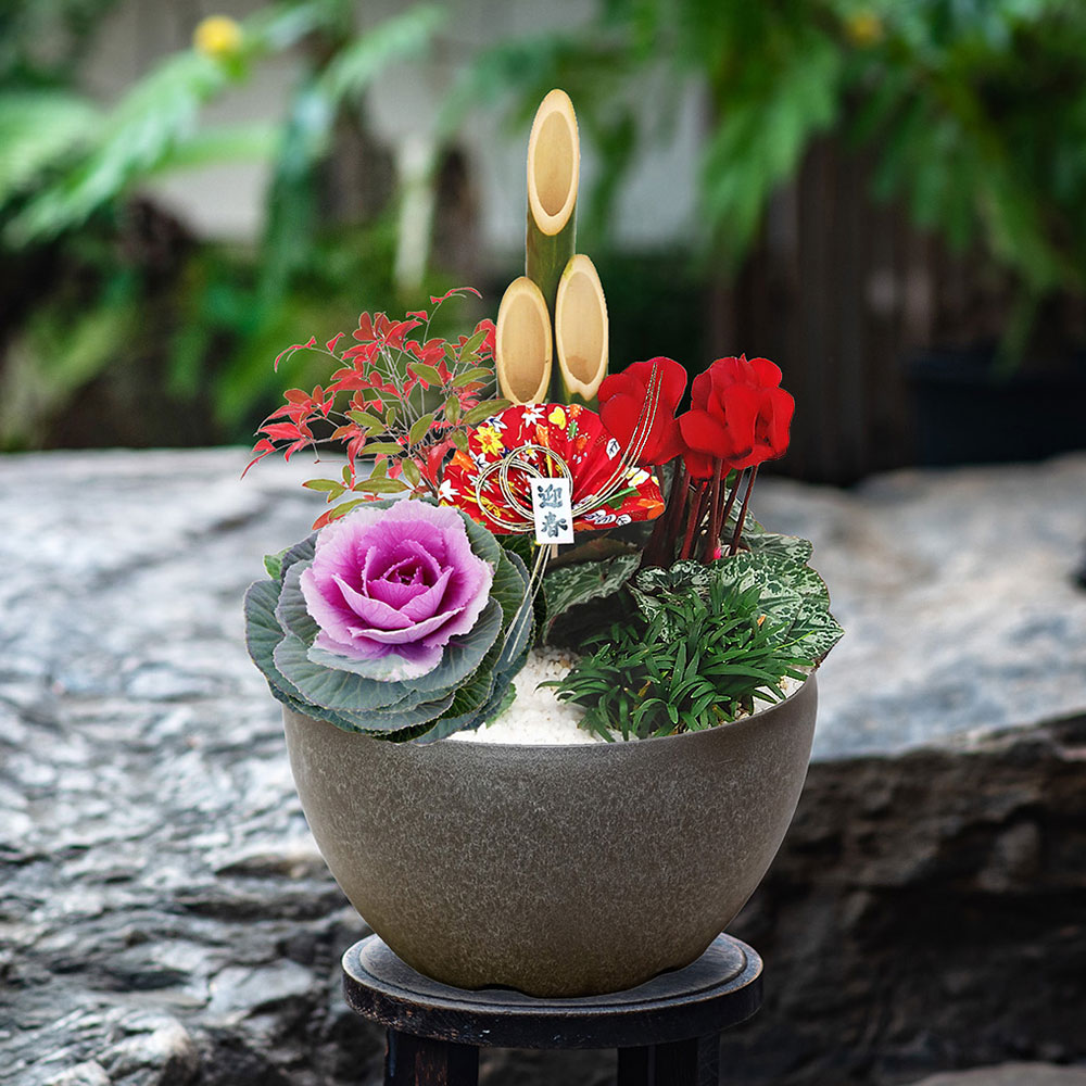 お正月 迎春門松寄せ植え