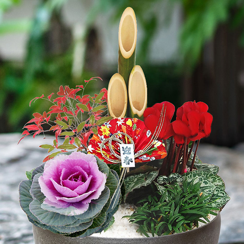 お正月 迎春門松寄せ植え