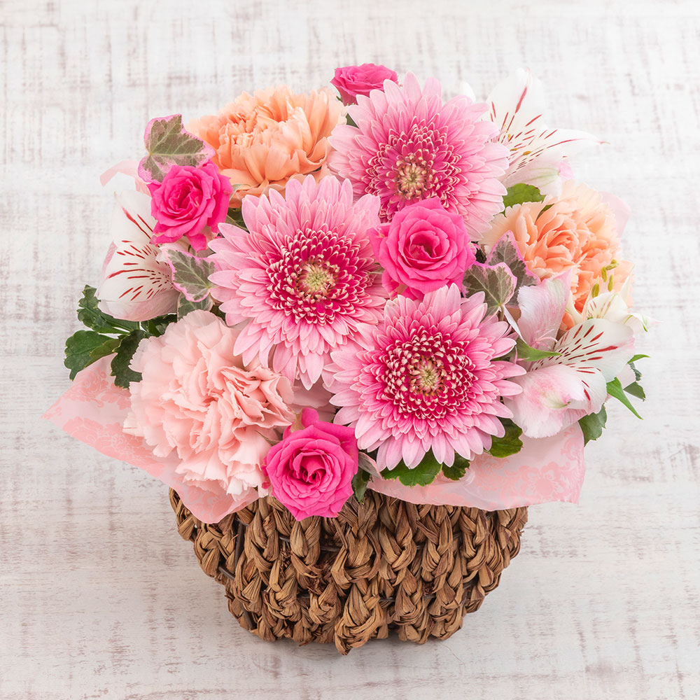 【最短翌日届け】10月旬の花 ガーベラ アレンジメント「カリーニョ」