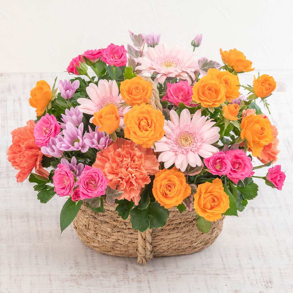 10月旬の花 ガーベラ アレンジメント「メランジ」