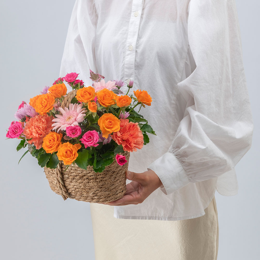 【最短翌日届け】10月旬の花 ガーベラ アレンジメント「メランジ」