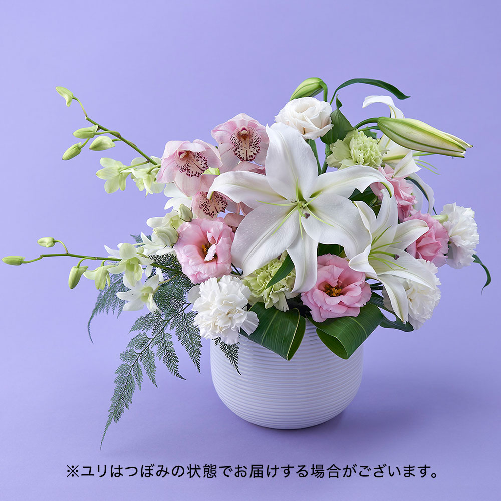 【お供え用】 アレンジメント「メモリア」