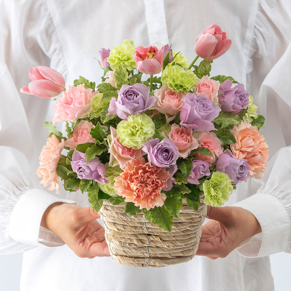 1月旬の花 チューリップ アレンジメント「ラ パンテュール」