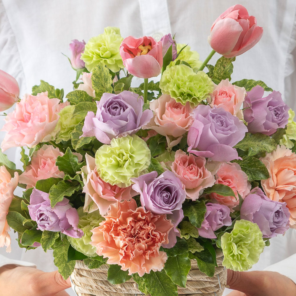 1月旬の花 チューリップ アレンジメント「ラ パンテュール」