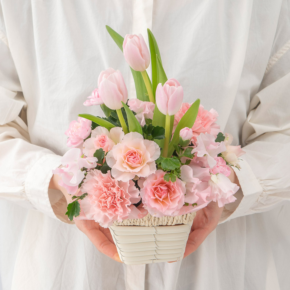 2月旬の花 チューリップ アレンジメント「ロゼシュークル」