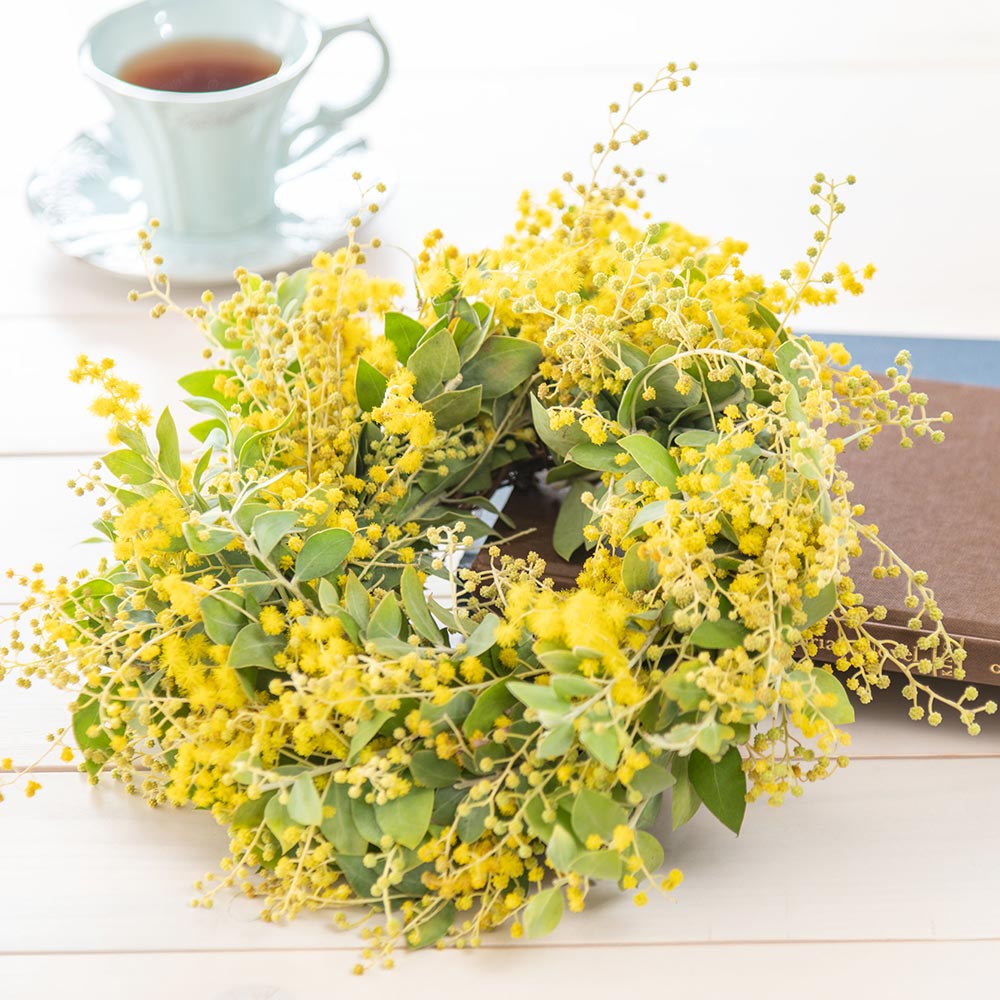 【2/27～3/2届け限定】ミモザフレッシュリース