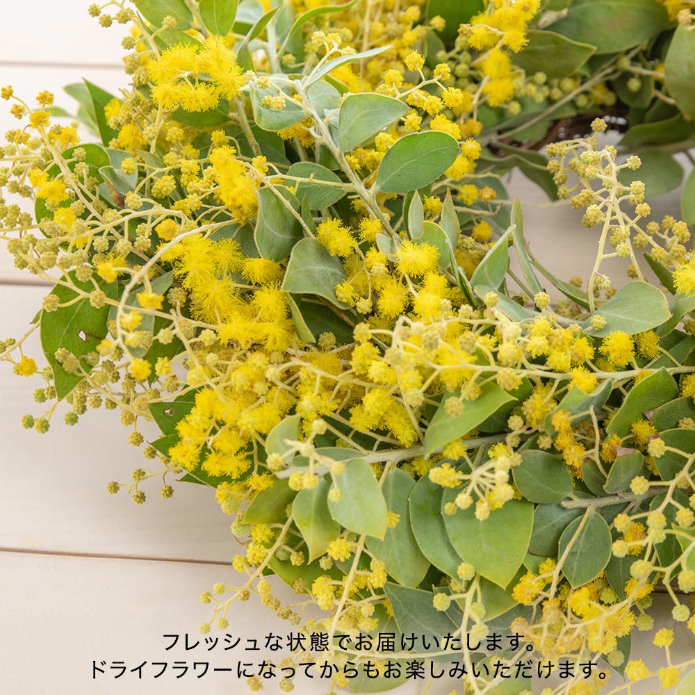【2/27～3/2届け限定】ミモザフレッシュリース