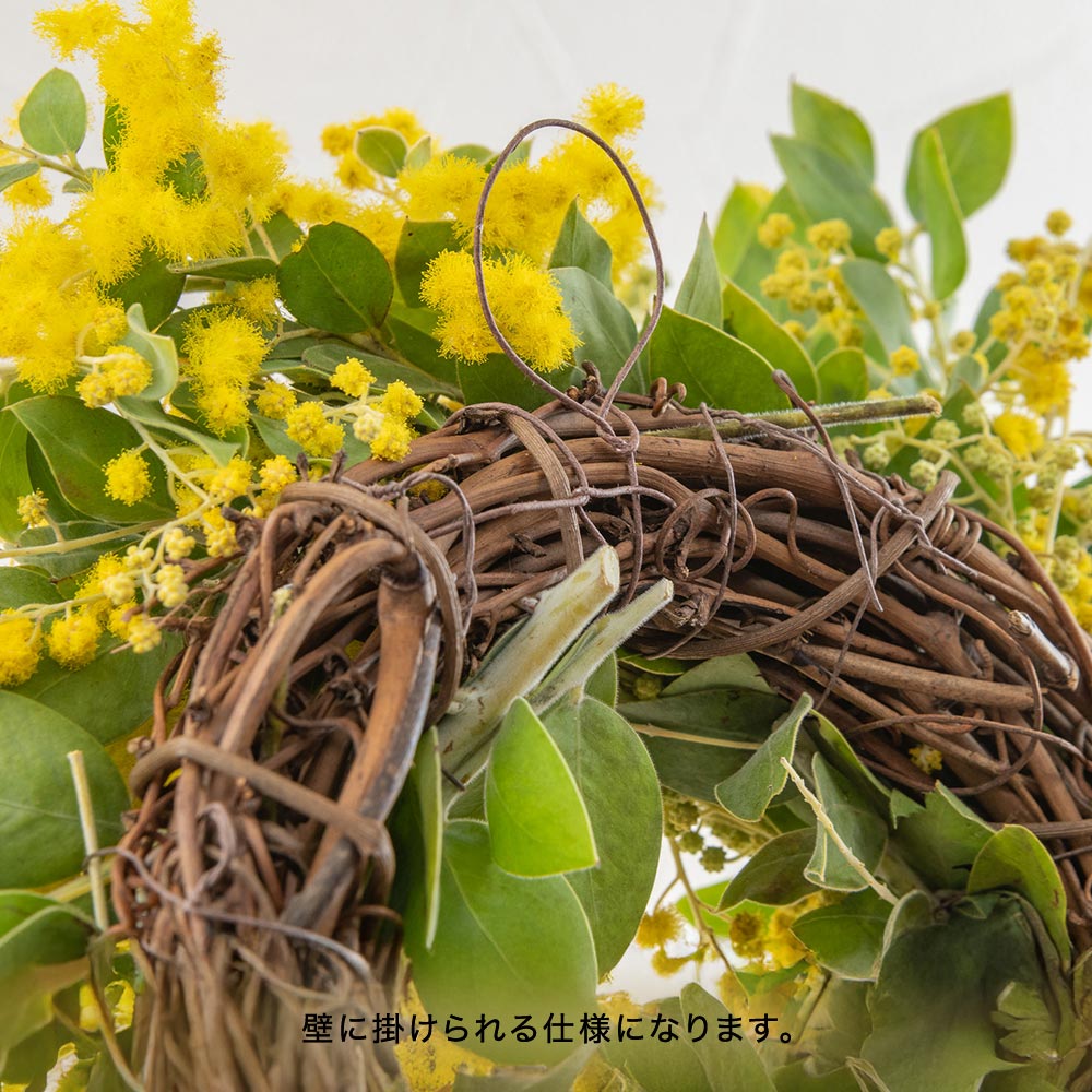 【2/27～3/2届け限定】ミモザフレッシュリース