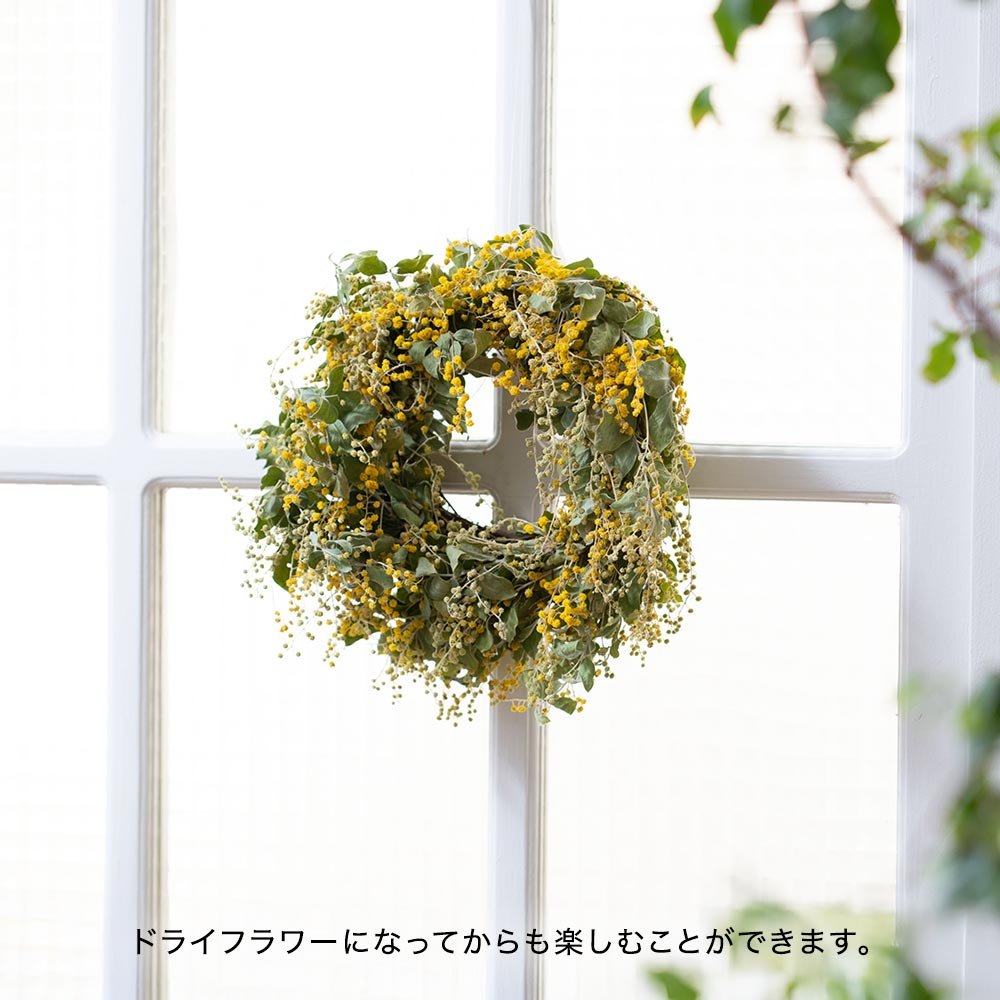 【2/27～3/2届け限定】ミモザフレッシュリース