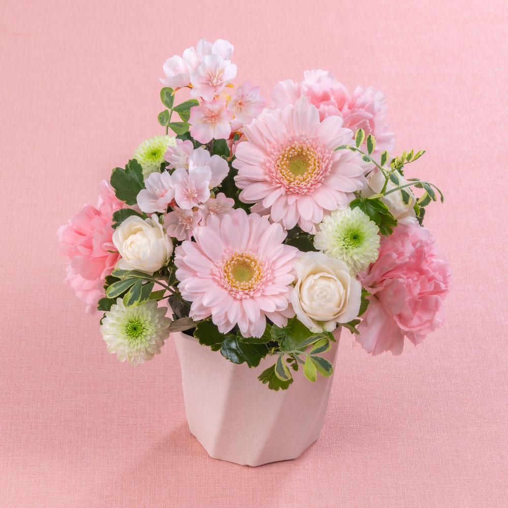 アレンジメント「ふんわり -SAKURA-」