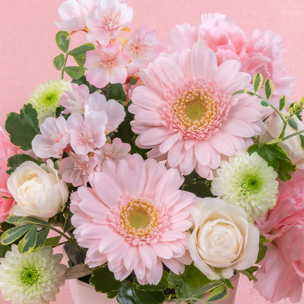 アレンジメント「ふんわり -SAKURA-」