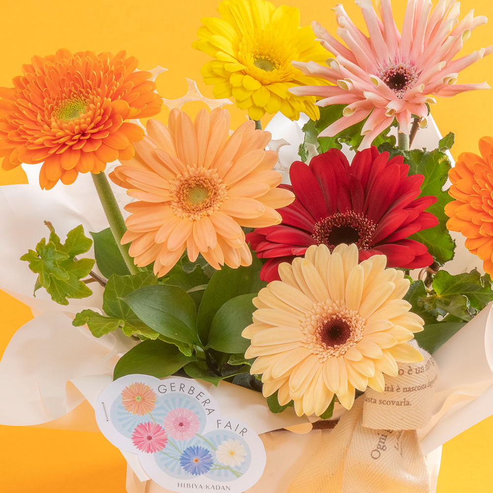 【期間限定】アレンジメント「ガーベラ」