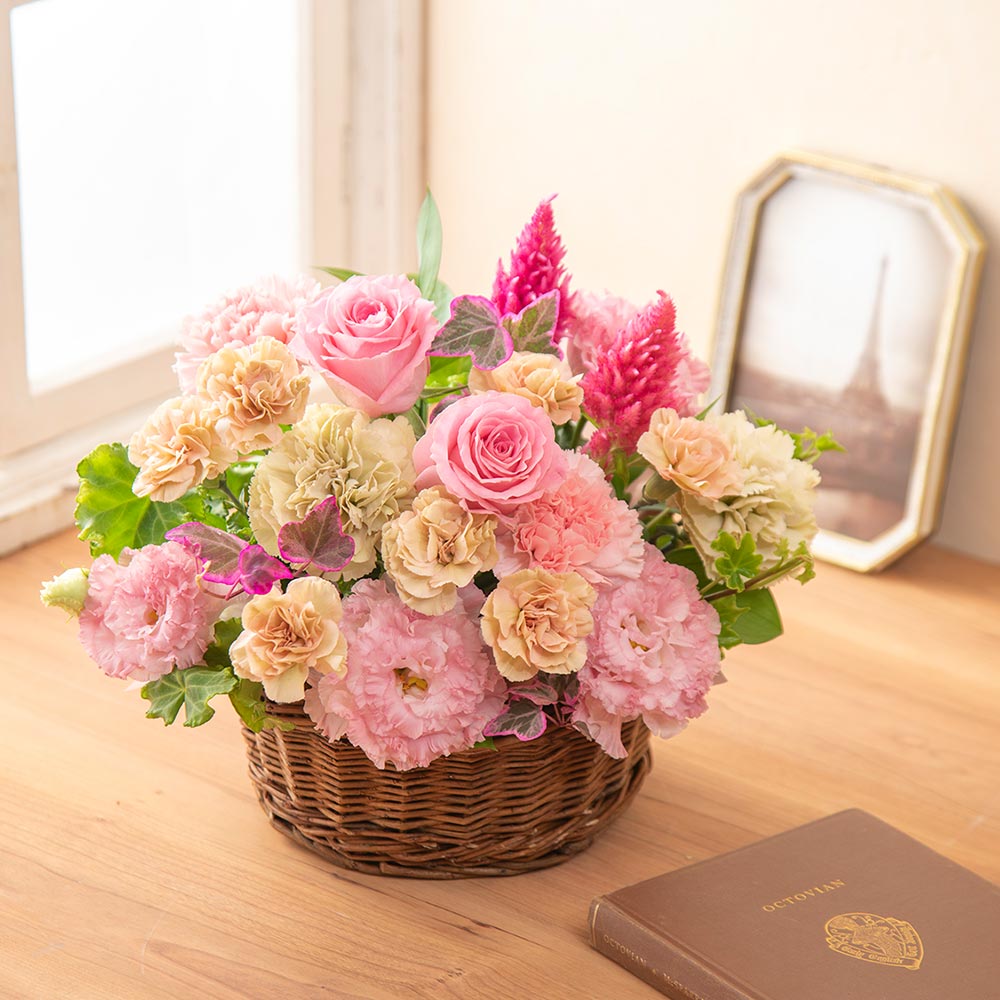 9月旬の花 ケイトウ アレンジメント（ピンク・M）