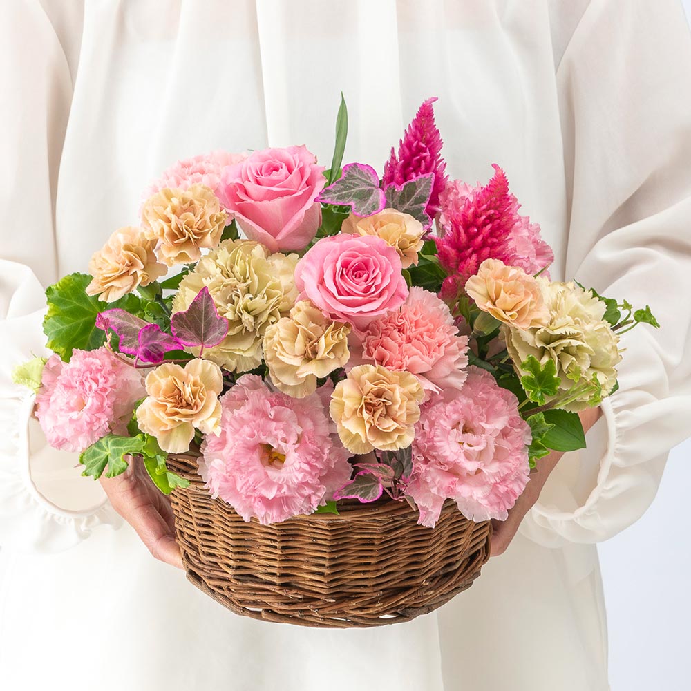 【最短翌日届け】9月旬の花 ケイトウ アレンジメント（ピンク・M）
