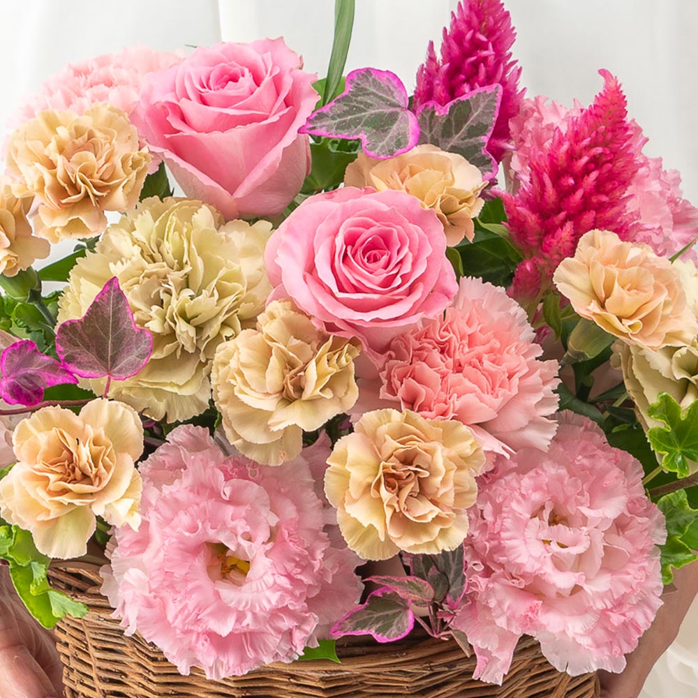 【最短翌日届け】9月旬の花 ケイトウ アレンジメント（ピンク・M）
