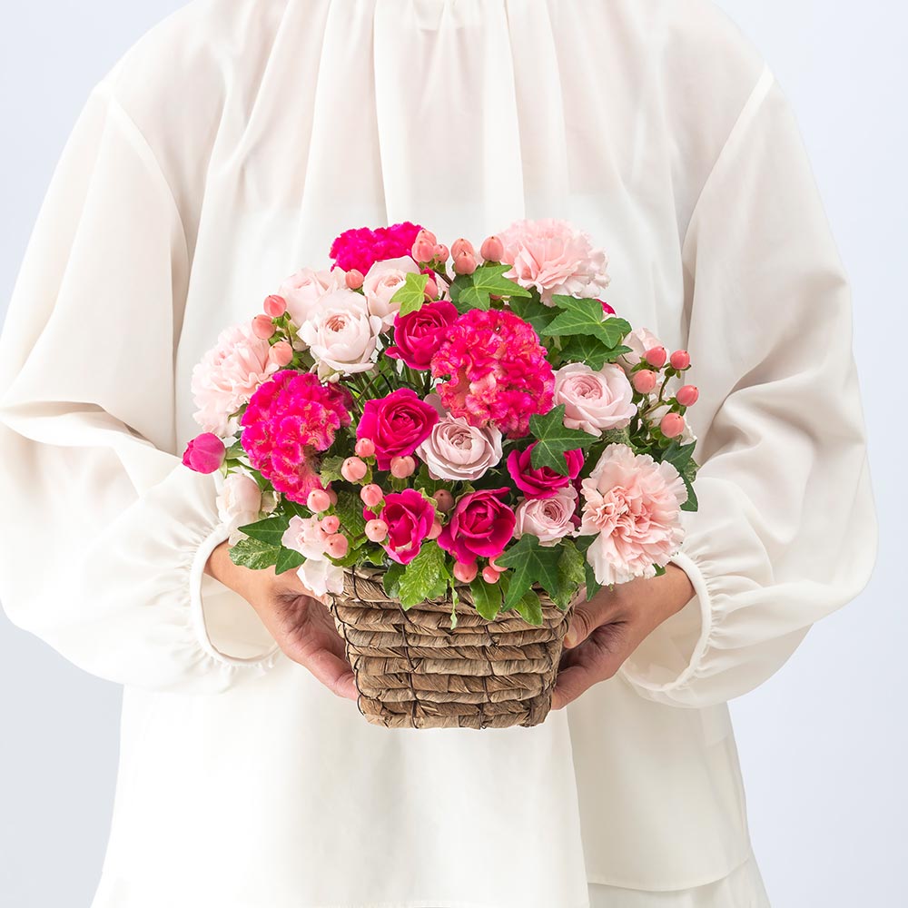 9月旬の花 ケイトウ アレンジメント（ピンク・L）