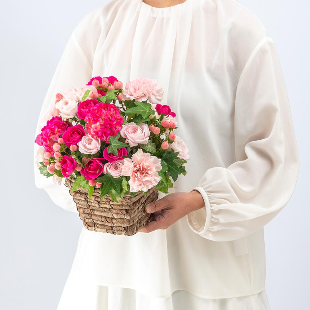 【最短翌日届け】9月旬の花 ケイトウ アレンジメント（ピンク・L）