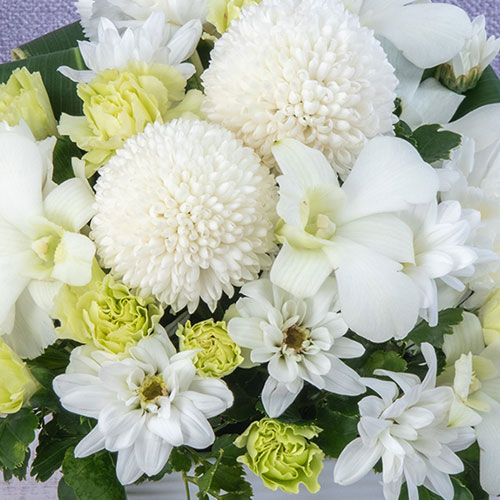 【お供え用】 アレンジメント「プジーブル」