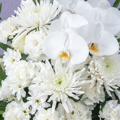 【お供え用】 アレンジメント「睡蓮花（すいれんか）」