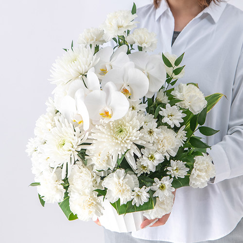 【お供え用】 アレンジメント「睡蓮花（すいれんか）」